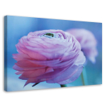 L&otilde;uendiprint Pojeng Flower Nature 60x40 lilla