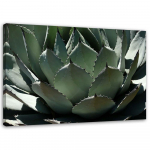 L&otilde;uenditr&uuml;kk Succulent Plant Green 60x40 roheline