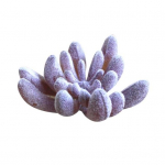 1 tk kunstlik mahlakad taime lilleseade isetegemise bonsai kodu t&ouml;&ouml;laua sisekujundus 6