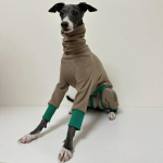Greyhoundi riided talvised neljajalgsed kombinesoonid itaalia hurt-mantlile Whippet talvejope K&otilde;hu kaitsvad koerariided 1