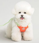 Byte Me Dog Comfort rakmed, XL, oranž + melon white