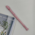 Mitmev&auml;rviline 6 auguga fl&ouml;&ouml;t ja 8 auguga plastikust nokkfl&ouml;&ouml;t laste muusika&otilde;petuseks