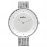 SKAGEN SKW2140 ANITA 30mm terasv&otilde;rgust naiste k&auml;ekell, h&otilde;bedane [Paralleelimport]