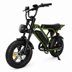 Pixar M9 Mini Elektrijalgratas 16 Rehv 250W Mootor H&uuml;draulilised Pidurid 48V 15Ah Eemaldatav Aku 7 K&auml;iku Maksimaalne L&auml;bis&otilde;it 60Km roheline