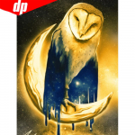 Teemanttikandi komplekt &Ouml;&ouml;kull 5d Teemantmaaling Rhinestone Pilt Loom Teemant Kodukaunistus 20X30CM