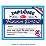 Les Tr&eacute;sors De Lily [Q9502] - Cadre 'Dipl&ocirc;me de l'Homme Parfait' bleu blanc - 25x20x1. 5 cm sinine