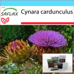 SAFLAX - Kingikomplekt - Kardoon / Hispaania arti&scaron;okk - 50 seemet - Koos kinkekarbi, kaardi, etiketi ja potisubstraadiga - Cynara cardunculus