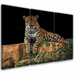 Kolmeosalise pildiga l&otilde;uendiprint Leopard Panther Cat Animal 60x40 oranž