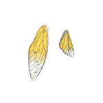 2 tk tiivakujuline v&auml;rviline vaigutilga liimitarvikud ehete valmistamiseks DIY k&auml;ev&otilde;ru kaelakee k&otilde;rvar&otilde;ngas 16*50mm+11*25mm