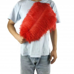 10TK 45-50cm V&auml;rvilised Suured Suled Jaanalind Laualill Laualill Pulmadekoratsioon Jaanalinnusuled