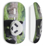 Panda juhtmevaba hiir