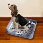 Koerapissipadi Tualett Mugav Eemaldatava Postiga Lemmiklooma Treeninghoidja sinine