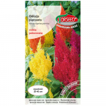 Celosia pinnate mix FLOWER seemned v&auml;rsked PREMIUM 0,5g