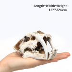 Simulatsioon Vaigu Dinosaurus Kolju Kaunistused Ise Tee Akvaariumi Kala Paagi Kaunistus