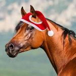 Christmas Horse Hat Accessories Festivals Dress up Farm Photo Breathable Red Riding Holiday Decor