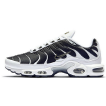 Nike Air Max Plus Valge Must Metallik Tinasinine CT1094-102 42
