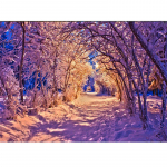 Tikandid Maalimine Ristpistes Teemantmaaling Seinakleebis Teemanttikandid Maalimine 20X30CM