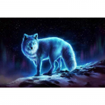 Wolf Ice Fire Starry Sky Full Drill Round Loomafoto Kohandatud teemanttikandid Teemantmaal 20X30 valge