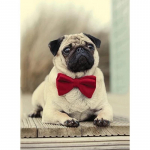 5D DIY Teemantmaali koer Ristpistes Mosaiik Teemanttikandid Roos T&auml;is&uuml;mmargune/ruudukujuline puur Kodukaunistus Round 20x30cm