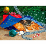 5D DIY Teemantmaaling Armas kass Teemanttikandid Loomade Lilled Ristpistes T&auml;isruudukujuline &uuml;mmargune puur Kodukaunistus K&auml;sitsi kingitus Full Round 20x30CM