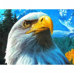 Uus 5D DIY Teemantmaaling Kotkapea Teemanttikandid Loomade Ristpistes T&auml;is&uuml;mmargune puur Kodukaunistus K&auml;sitsi Kunst Kingitus Full Round 20x30CM