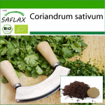 SAFLAX - Orgaaniline - Koriander - 150 seemet - Potisubstraadiga paremaks kasvatamiseks - Coriandrum sativum