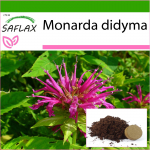 SAFLAX - Bergamoti / Oswego tee - 20 seemet - Potisubstraadiga paremaks kasvatamiseks - Monarda didyma
