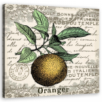 L&otilde;uendiprint Oranž vintage 30x30 oranž