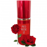 Parag aroomid t&otilde;eline, naturaalne ja kauakestev meeste parf&uuml;&uuml;m, sandlipuu, 60 ml, 100% looduslik meeste parf&uuml;&uuml;m 60 ml