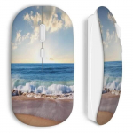 Juhtmeta hiir Rannap&auml;ike