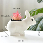 Loovad Armsad Lillepotid Valged Portselanist Potid J&auml;nese Lillepotid Sukulentide Potid Taimepott Rippuv Istutusmasin Kodu Kaunistus