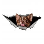 Brown Chihuahua Car Stickers for Dogs Hidden in Holes, Waterproof Irregularly Shaped Car Decoration Decals 15cm-Longest Side