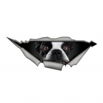 Prantsuse buldogi 3D Break the Wall autokleebis, veekindlast vin&uuml;&uuml;lmaterjalist tarvikud, huvitav autodele, veoautodele, mootorratastele, seintele 15cm-Longest Side