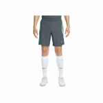 Nike F.C. Barcelona Strike Elite Logo plaaster Elastne v&ouml;&ouml;koht Jalgpallishortsid Meeste l&uuml;hikesed p&uuml;ksid Heleroheline FD4142-437 M