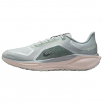 Nike Air Zoom Pegasus 41 GORE-TEX Light Pumice Meeste Tossud Pruun Puht-Plaatina Silt-Punane FQ1356-007 42
