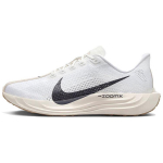 Nike Pegasus Plus Sail Orewood Anthracite Tossud FQ7262-100 40