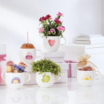 Villeroy & Boch Love seeria keraamiline kruus 290ml