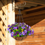 Flower Arrangement in Hanging Basket with Chain for Garden Decor violet