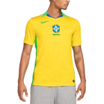 Nike Brasiilia 2025 Staadioni Koduvorm (Naiste v&otilde;istkond) Meeste Nike Dri-FIT jalgpalli repliikvorm FZ9011-718 M
