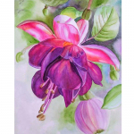 Teemantmaal punane lille ristpistes ringtikandid lilled n&auml;put&ouml;&ouml; niit kivikivi 20X30CM