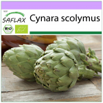 SAFLAX &ndash; Orgaaniline &ndash; Arti&scaron;okk &ndash; Imperial Star &ndash; 5 seemet &ndash; Cynara scolymus