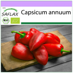 SAFLAX &ndash; orgaaniline &ndash; kuum t&scaron;illipipar &ndash; barak &ndash; 15 seemet &ndash; Capsicum annuum