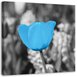 L&otilde;uendiprint Tulip Flowers Blue 30x30 sinine