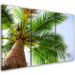Kolmeosalise pildiga l&otilde;uenditr&uuml;kk Palm 60x40 roheline