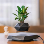 Magnetic Levitation Planter &ndash; ainulaadse ujuva efektiga r&ouml;&ouml;basistutusmasinad v&auml;ikestele taimedele, kodu- ja kontorikaunistuseks, j&otilde;ulu- ja uusaastakingiidee must