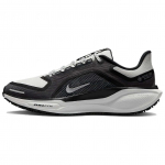 Nike Air Zoom Pegasus 41 GORE-TEX Must Raudhall Hall Naiste Tennised Antratsiit Tippvalge FQ1357-002 37.5