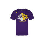 Nike Dri-Fit NBA Los Angeles Lakers Meeste l&uuml;hikeste varrukatega &uuml;mara kaelusega T-s&auml;rk Lilla AT0422-547 L
