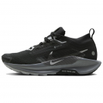 Nike Pegasus Trail 5 GORE-TEX Must H&otilde;behall Naiste Tossud Lahehall Antratsiit FQ0912-001 35.5