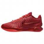 Nike LeBron 21 James Gang tossud HF5951-600 42.5 punane