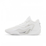 Air Jordan Tatum 1 PF Pure Money FQ1304-100 EU 44.5 valge/hall